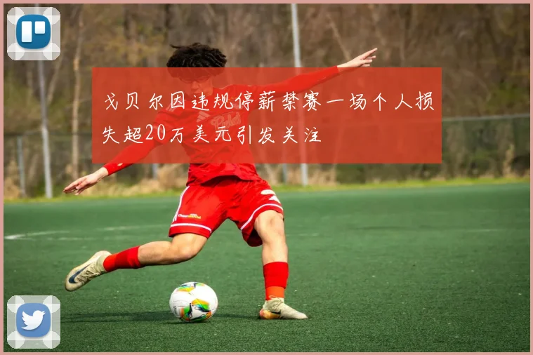 戈贝尔因违规停薪禁赛一场个人损失超20万美元引发关注