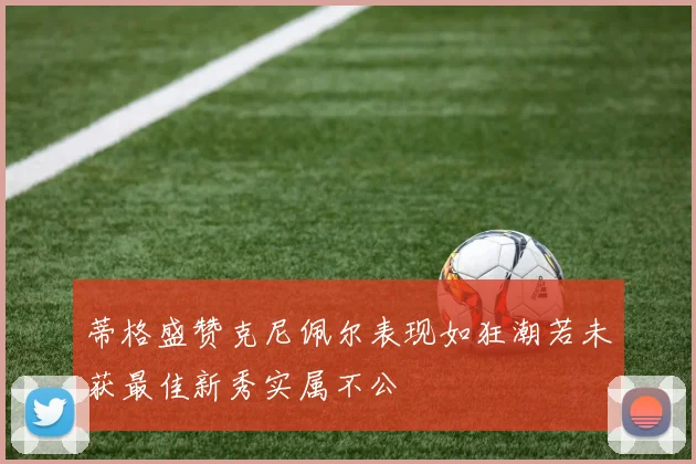 蒂格盛赞克尼佩尔表现如狂潮若未获最佳新秀实属不公